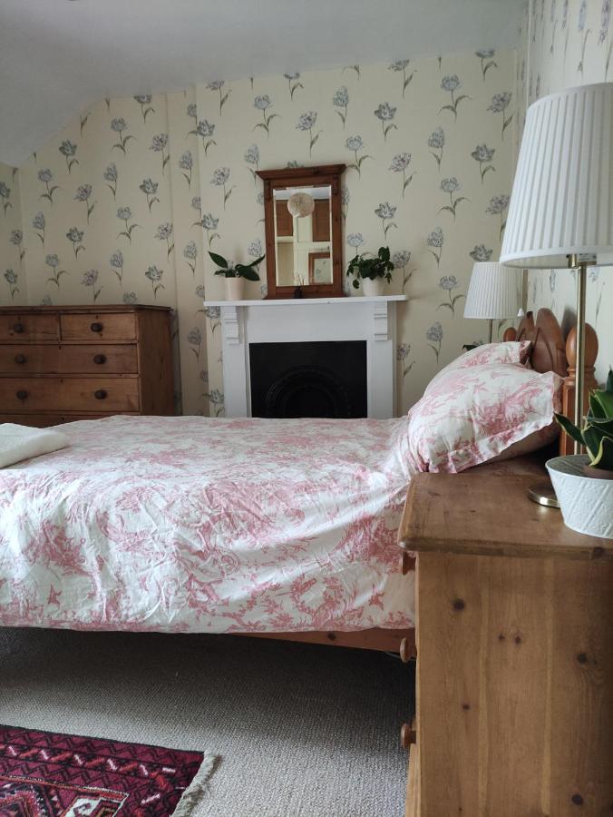 Adail Cottage Aberystwyth Buitenkant foto