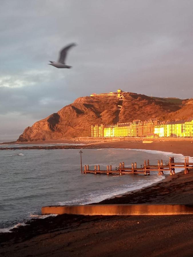 Adail Cottage Aberystwyth Buitenkant foto