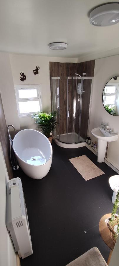 Adail Cottage Aberystwyth Buitenkant foto